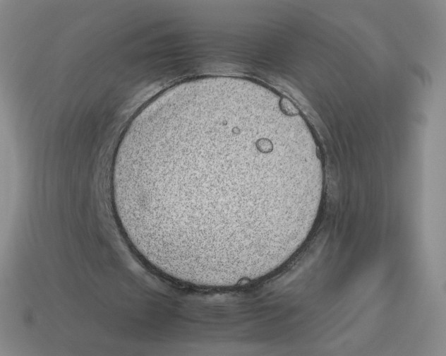 X0000114220433200911061510