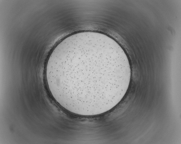 X0000114220434200911061510