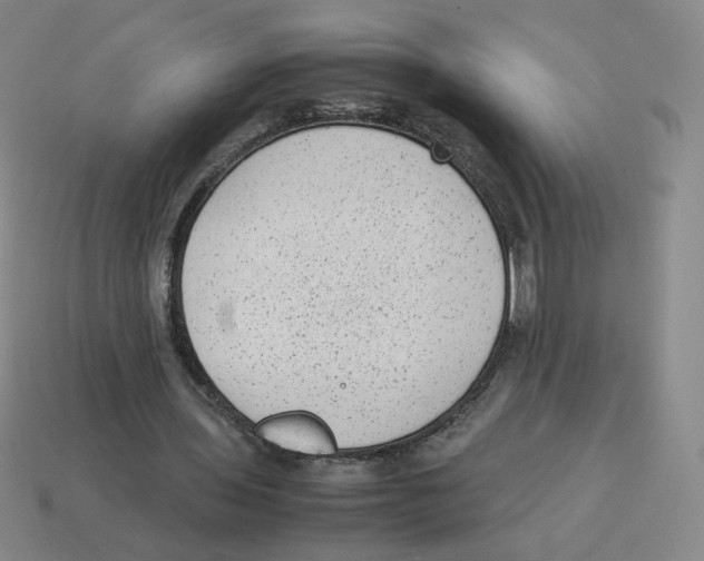 X0000114220435200911061510