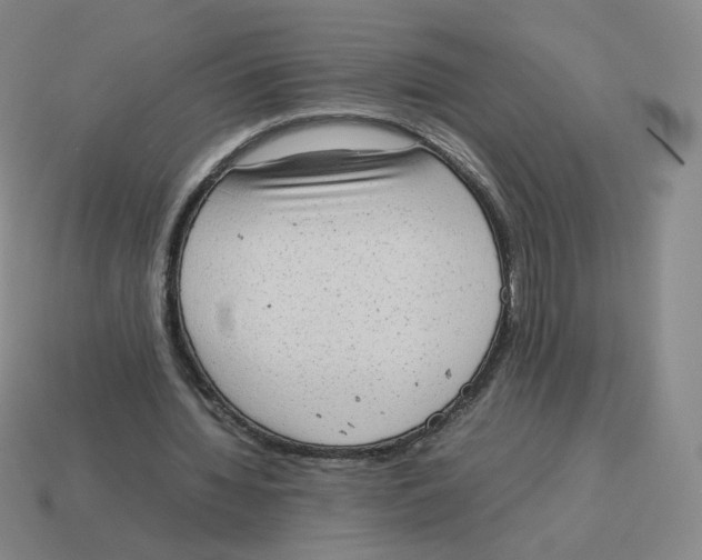 X0000114220436200911061510