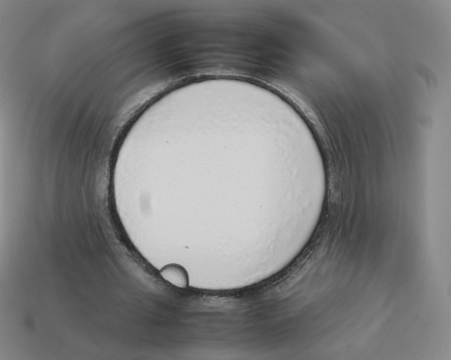 X0000114220437200911061510