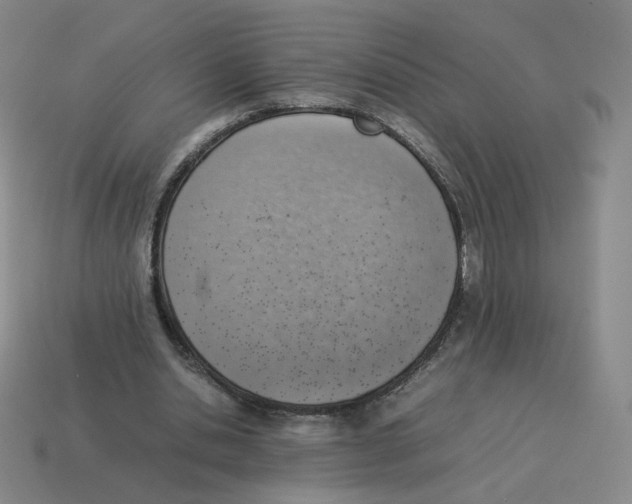 X0000114220438200911061510