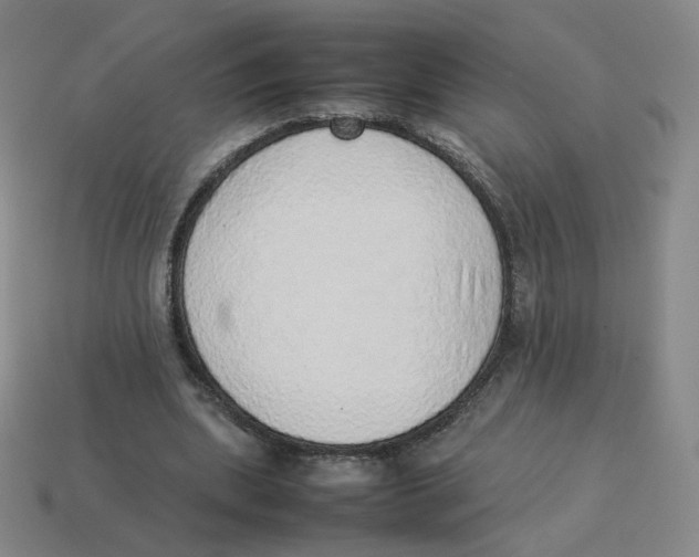 X0000114220439200911061510