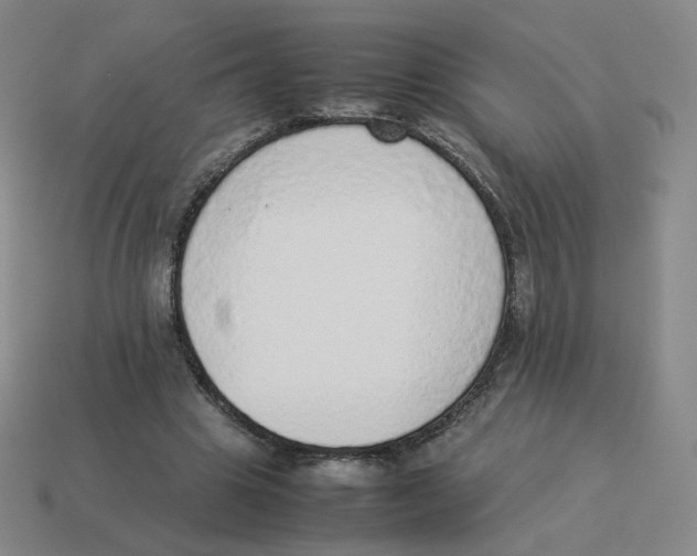 X0000114220441200911061510