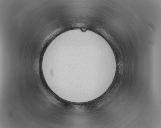 X0000114220442200911061510