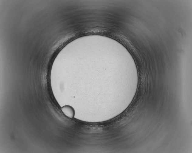 X0000114220443200911061510