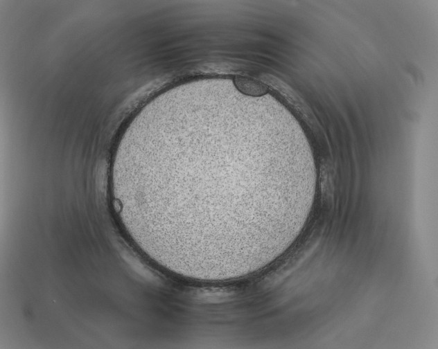 X0000114220445200911061510