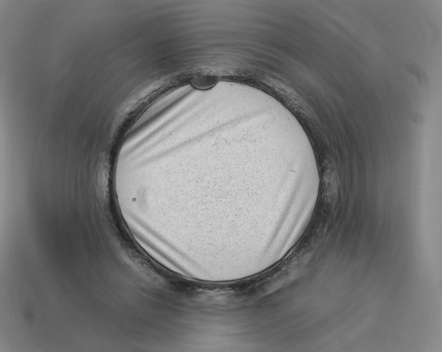 X0000114220446200911061510