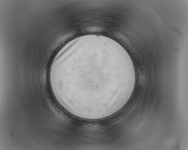 X0000114220447200911061510