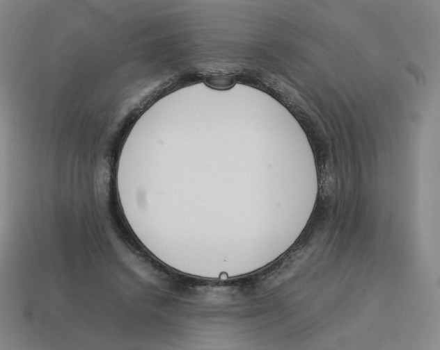 X0000114220448200911061510