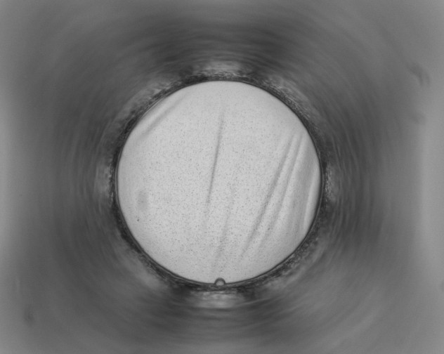 X0000114220449200911061510