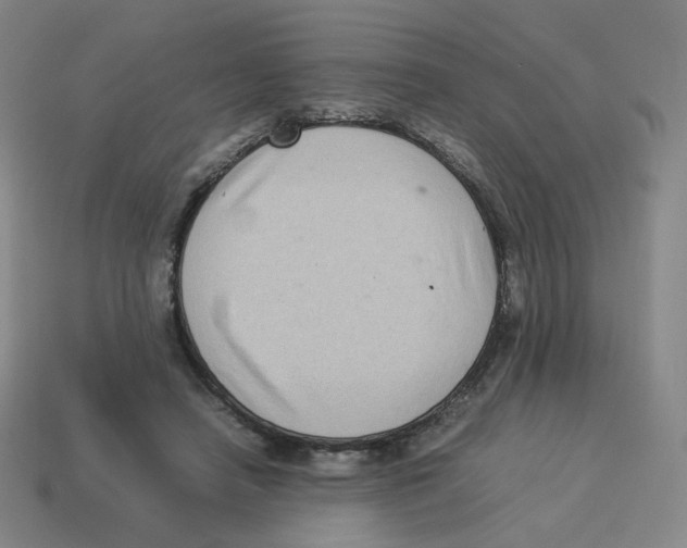 X0000114220450200911061510