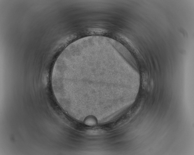 X0000114220451200911061510