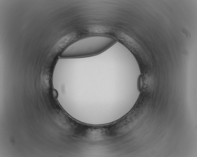 X0000114220452200911061510