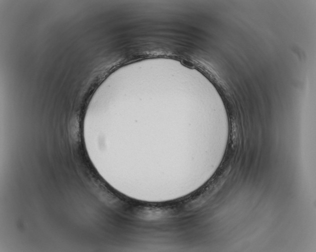 X0000114220453200911061510