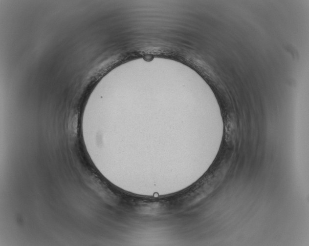 X0000114220454200911061510