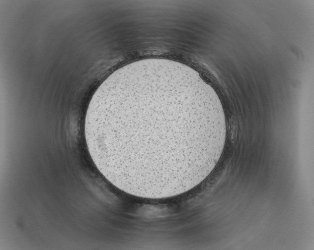 X0000114220455200911061510