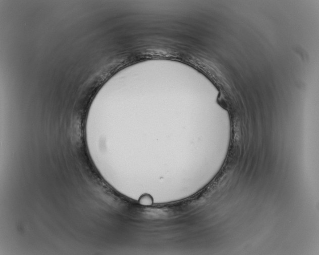 X0000114220457200911061510