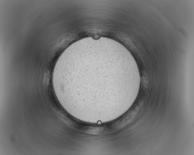 X0000114220458200911061510