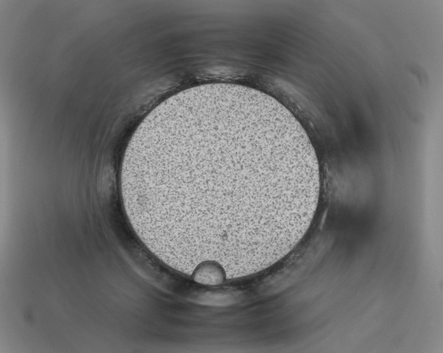 X0000114220459200911061510