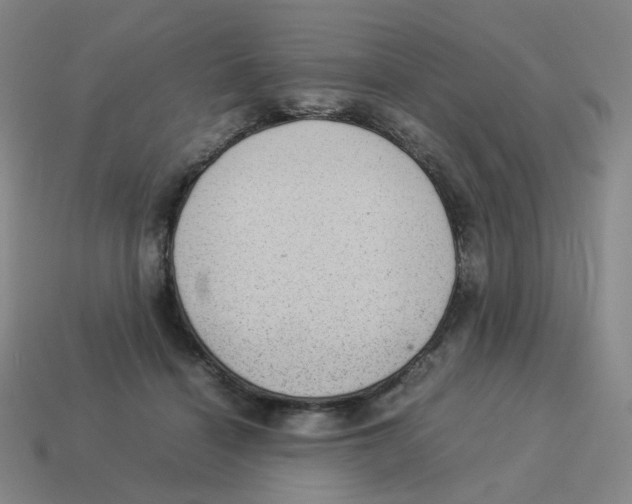 X0000114220460200911061510