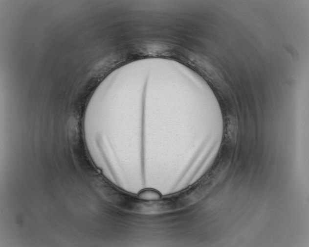 X0000114220461200911061510