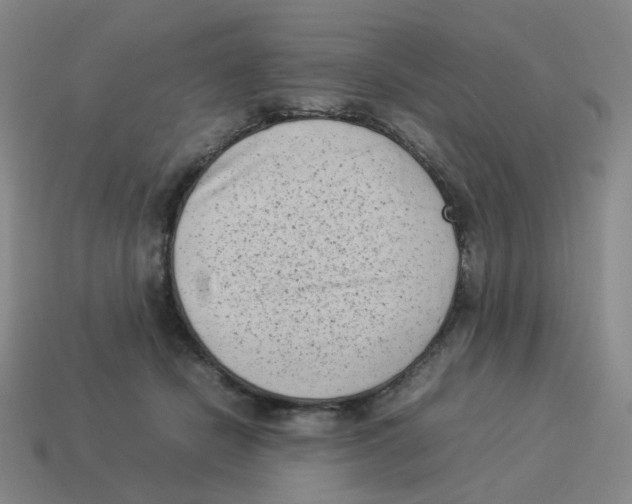 X0000114220462200911061510