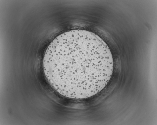 X0000114220463200911061510