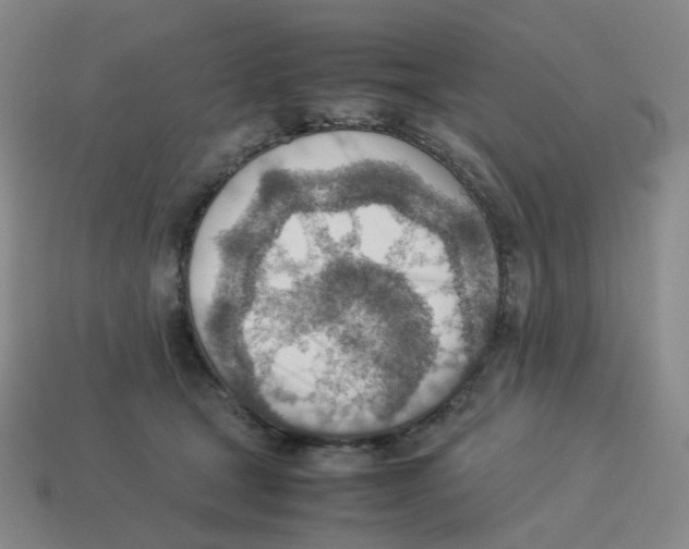 X0000114220465200911061510