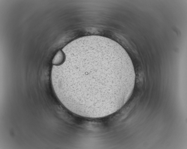 X0000114220466200911061510