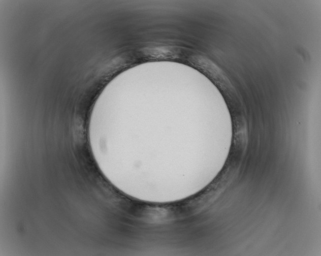 X0000114220469200911061510