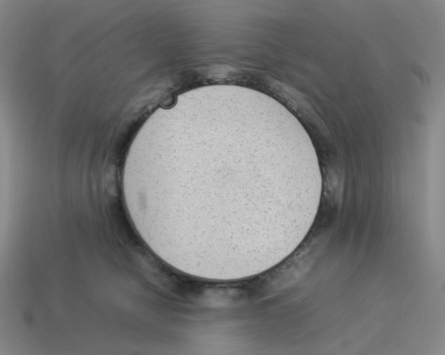 X0000114220470200911061510