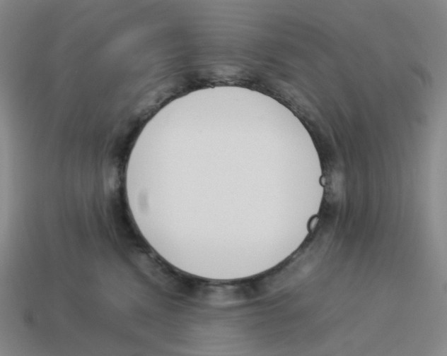 X0000114220472200911061510