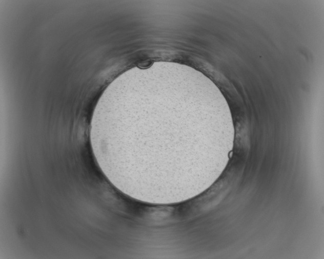 X0000114220474200911061510