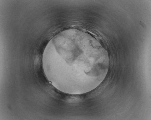 X0000114220475200911061511