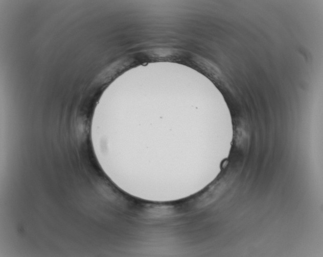 X0000114220476200911061511