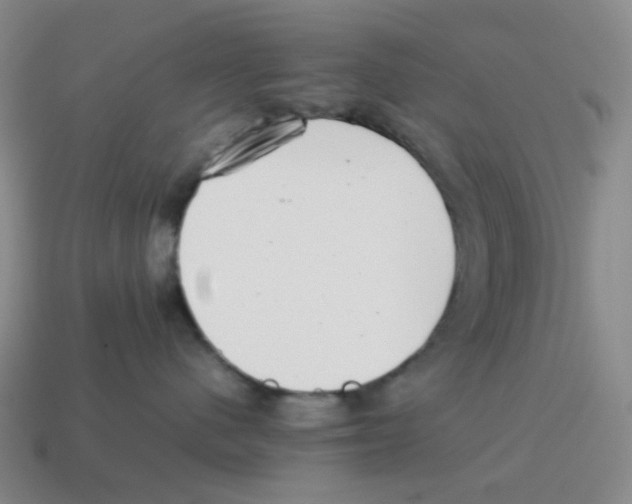 X0000114220480200911061511