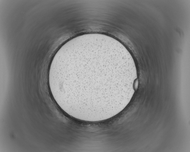 X0000114220481200911061510