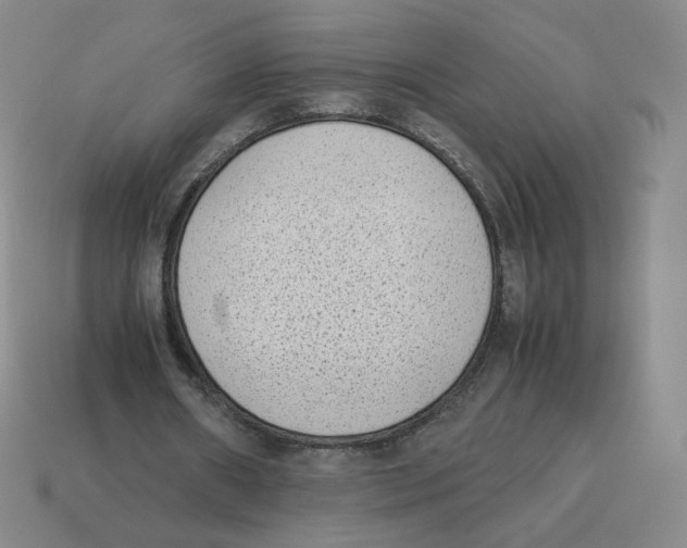 X0000114220482200911061510