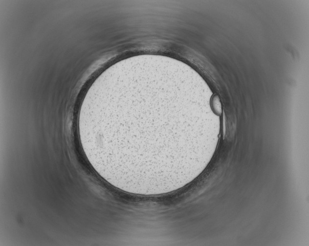 X0000114220483200911061510