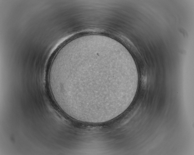 X0000114220484200911061510