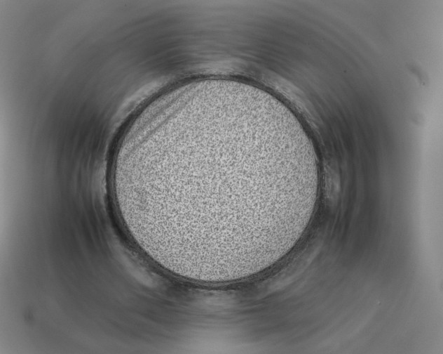 X0000114220486200911061510