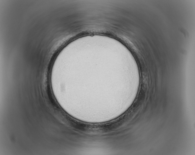 X0000114220487200911061510