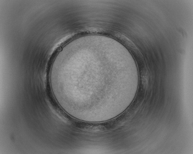 X0000114220488200911061510