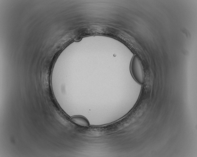 X0000114220489200911061510