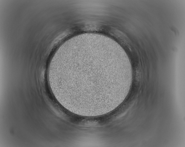 X0000114220491200911061510