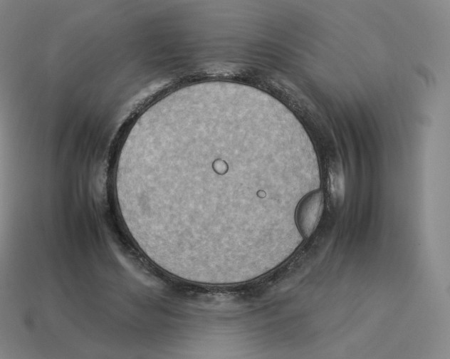 X0000114220492200911061510