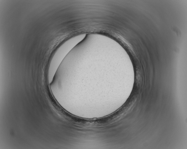 X0000114220493200911061510