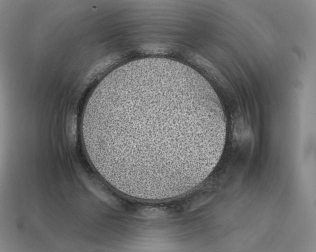 X0000114220494200911061510