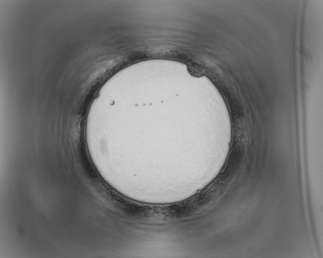 X0000114220495200911061510